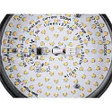 ceiling luminaire GRIP! FLAT IP20, gold, black, lacquered dimmable