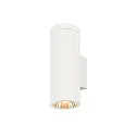 SLV Outdoor LED-Wandleuchte HELIA PRO L SINGLE, IP65 IK08, Höhe 30.5cm, zylindrisch, 24°, DALI dimmbar, 15W 2700K 1800lm, weiß