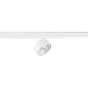 SLV LED 3-Phasen Strahler KALU 2.0 DALI, IP20, zylindrisch, CRi>90, UGR<19, DALI dimmbar, kardanisch, 10W 4000K 1500lm 36°, weiß