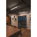3-Phasen Strahler ALTRA DICE Spot GU10 50W, schwarz