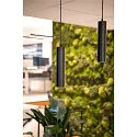 Premium-LED Pendelleuchte HELIA 40 PD, 12W 3000K 700lm 30°, TRIAC dimmbar, Schwarz
