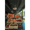 Pendelleuchte / Reflektorleuchte PARA 380, Ø 38cm, E27 max. 20W (LED)
