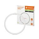 Ledvance LED Röhre T5 FC 40/55 EXTERNAL Ring-Form 2GX13 21,5W 3200lm 4000K 120° CRI 80-89 dimmbar